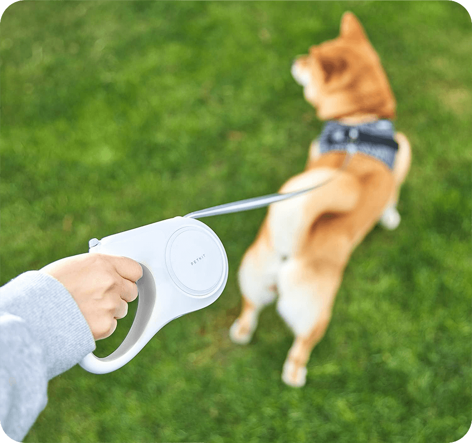 Smycz automatyczna PetKit Go Free Dog Retractable Leash 